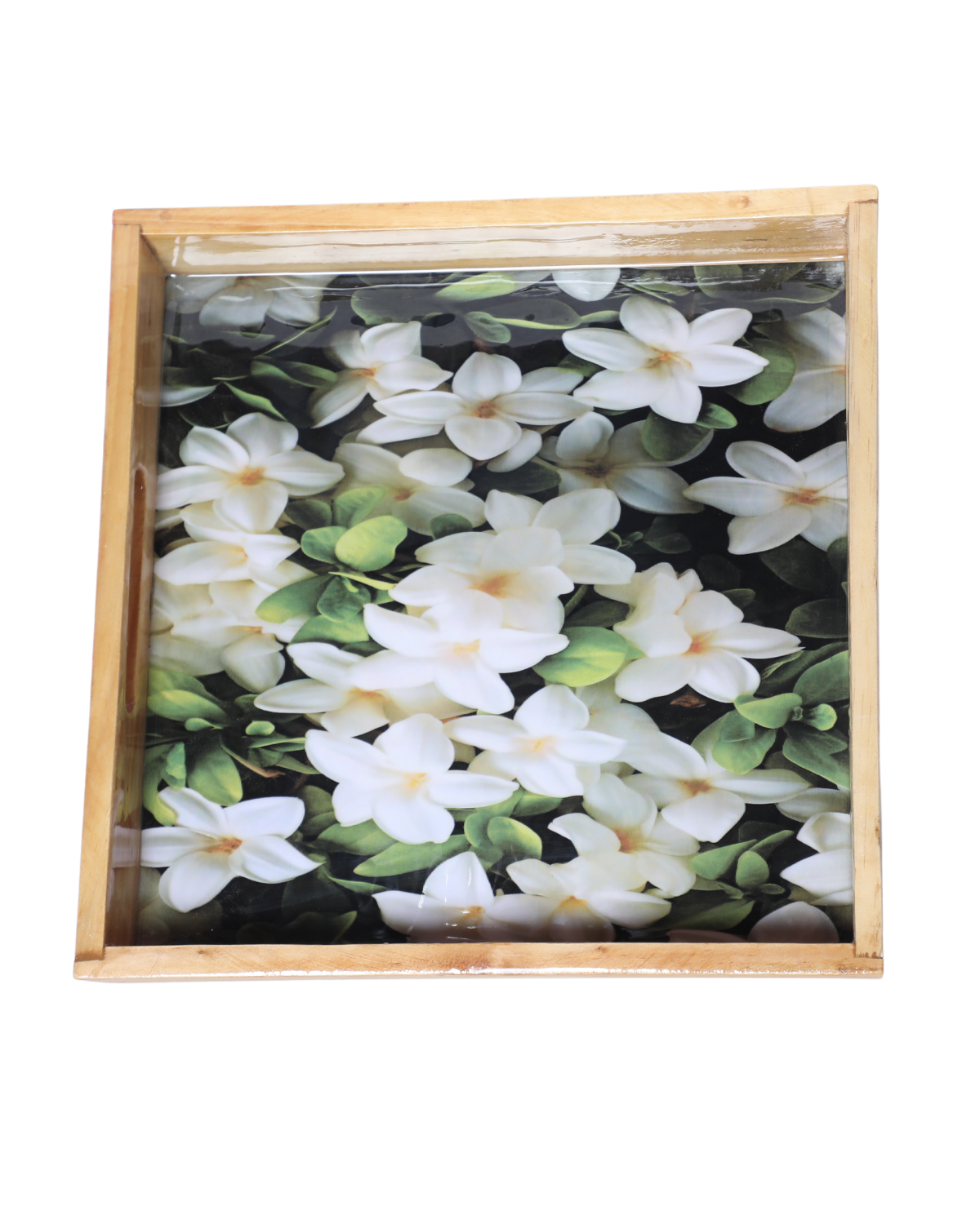 Tray 12*12 meena