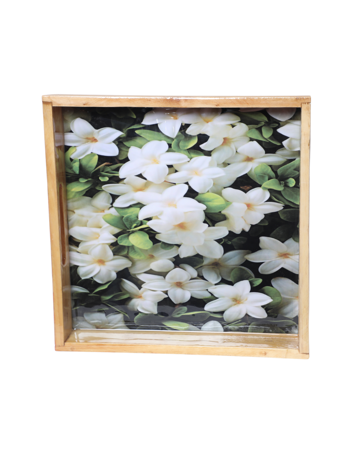 Tray 12*12 meena