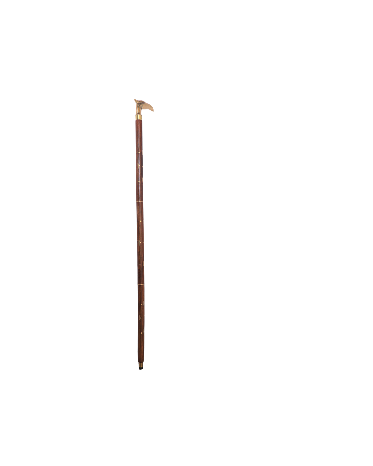 Walking Stick