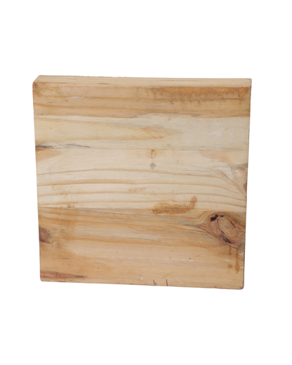 Tray 12*12 meena