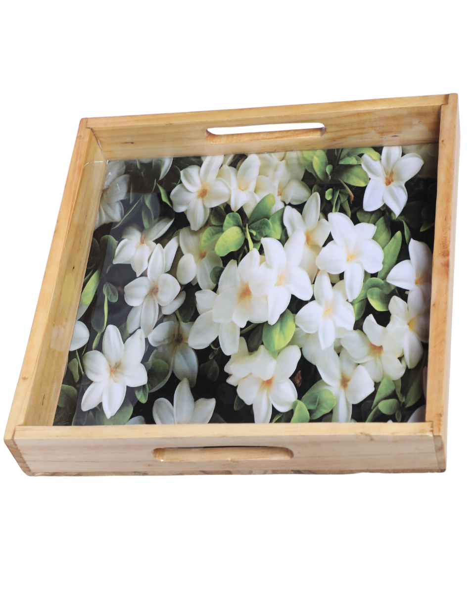 Tray 12*12 meena