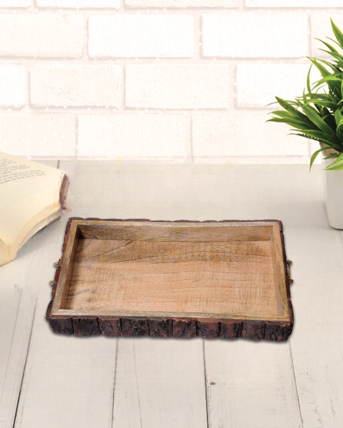 Tray 15*10 bark layer